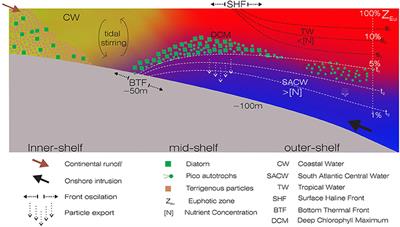 The Partitioning of Carbon Biomass among the Pico- and Nano-plankton Community in the South Brazilian Bight during a Strong Summer Intrusion of South Atlantic Central Water